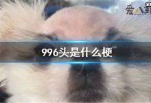 【乐玩LEWIN】996头是什么梗, 与985头是一个意思吗-乐玩真人线上娱乐