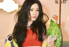 【乐玩LEWIN】本兮男友小E是赵越前吗？ 起底其个人资料他现任是谁-乐玩真人线上娱乐