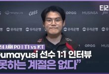 【乐玩LEWIN】Guma：除尼菈还有其他选择，不觉得在特定季节表现特别好或不好-乐玩真人线上娱乐