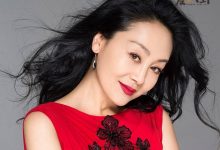 【乐玩LEWIN】王姬高峰离婚了吗? 起底离婚原因竟与复出演戏有关-乐玩真人线上娱乐