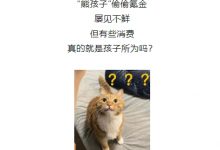 【乐玩LEWIN】熊孩子非“挡箭牌”!妈妈声称女儿游戏充值累计近3万要求退款 法院因缺乏事实依据驳回请求-乐玩真人线上娱乐