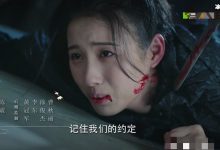 【乐玩LEWIN】锦绣南歌阿奴真的是沈嘉儿吗? 当年掳走她的人与沈家有何恩怨-乐玩真人线上娱乐