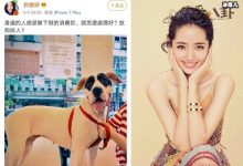 【乐玩LEWIN】向太安慰郭碧婷什么情况, 向太安慰郭碧婷又说了什么引网友狂赞-乐玩真人线上娱乐