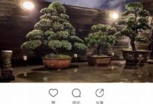 【乐玩LEWIN】向佐“三棵树”疑暗示郭碧婷怀孕, 郭碧婷生了吗什么时候生-乐玩真人线上娱乐