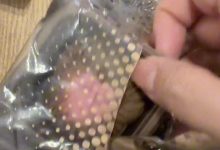 【乐玩LEWIN】女流分享黑神话官方送的月饼：你们想吃哪个味儿的-乐玩真人线上娱乐