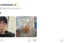 【乐玩LEWIN】NIP下路有点变态了！大黄分享刚拔的智齿，Zhuo与Photic留言好大/想要~-乐玩真人线上娱乐