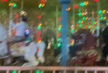 【乐玩LEWIN】直男拍摄？iG上单选手YSKM分享生活照：于是~-乐玩真人线上娱乐