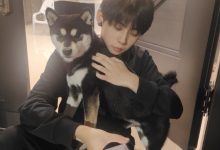 【乐玩LEWIN】帅哥你谁?Ale晒与爱犬合照:我妈的相机?~~~-乐玩真人线上娱乐