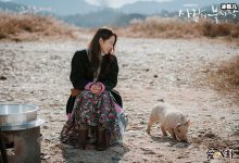 【乐玩LEWIN】爱的迫降破纪录,到底有多好看剧情主要讲述了什么-乐玩真人线上娱乐