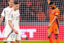 大发体育-欧国联-邓弗里斯传射加克波破门,大发助力你的致富之路!-乐玩真人线上娱乐