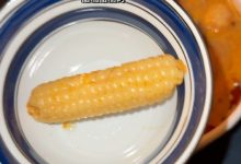 【乐玩LEWIN】姿态女友周周喵晒照:好久没在旁边煮火锅了-乐玩真人线上娱乐