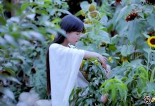 【乐玩LEWIN】李子柒为何会火？如今也是自媒体时代最耀眼的存在！-乐玩真人线上娱乐