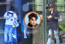 【乐玩LEWIN】陈若轩娄艺潇两人之间有什么关系?为何娄艺潇传出三段恋情均是朋友-乐玩真人线上娱乐