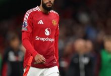 大发体育-最佳引援！马兹拉维成曼联关键先生，大发助力你的致富之路！-乐玩真人线上娱乐