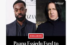 【乐玩LEWIN】毁童年啊？！《哈利波特》剧版斯内普教授将由黑人演员饰演-乐玩真人线上娱乐