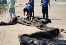 【乐玩LEWIN】三峡有水怪?其图片被扒!-乐玩真人线上娱乐