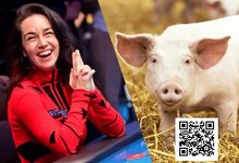 【EV扑克】趣闻 | 人美心善，Liv Boeree捐出56万美元改善猪的待遇-乐玩真人线上娱乐