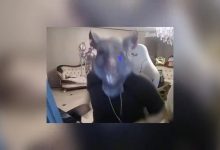 【乐玩LEWIN】姿态看XLB开QQ飞车连续贴弯漂移直接傻眼:卧槽他这真有点夸张吧-乐玩真人线上娱乐