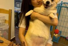 【乐玩LEWIN】张致恒塔房是怎么回事?其未婚妻如何回应!-乐玩真人线上娱乐