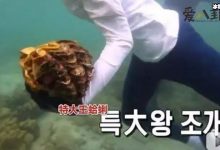 【乐玩LEWIN】李烈音或被判5年, 因节目或成最惨女嘉宾-乐玩真人线上娱乐