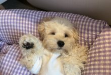 【乐玩LEWIN】JackeyLove女友吴55晒照:“一些没法过的生活日记”-乐玩真人线上娱乐