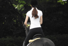 【乐玩LEWIN】不老女神萧蔷晒骑马照 被网友赞叹不止-乐玩真人线上娱乐