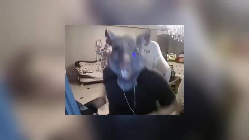 姿态看IG战胜JDG赛后语音TheShy疯狂交流:今天TS话这么多吗!