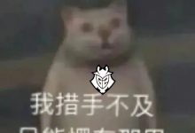 【乐玩LEWIN】首局爆冷!G2赛后更博:那个位置…… 🐰不应该在那里-乐玩真人线上娱乐