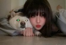 【乐玩LEWIN】主持骆歆晒照:作息炸了,趁机和我的小狗拍了一万张照片-乐玩真人线上娱乐