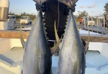 【乐玩LEWIN】不只会剑玉!涼森れむ(凉森玲梦)还是天才小钓手!-乐玩真人线上娱乐