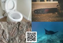 【EV扑克】扑克界谁的绰号最炸裂:电锯、魔鬼鱼、石化人、马桶?-乐玩真人线上娱乐