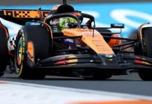 大发体育-诺里斯在荷兰大奖赛首场练习赛中领先皮亚斯特里，大发助力你的致富之路！-乐玩真人线上娱乐