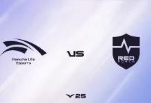 【乐玩LEWIN】🎮开送了?Lehends蜘蛛不死不休 宙斯反杀Kingen HLE轻松横扫NS-乐玩真人线上娱乐