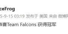 【乐玩LEWIN】冰蛙的祝贺!IceFrog更新动态:恭喜Team Falcons获得冠军-乐玩真人线上娱乐