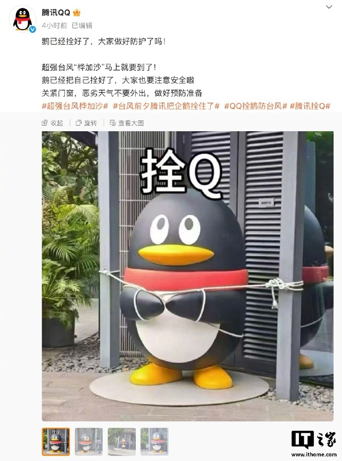栓q 我真的会笑🤣超强台风桦加沙逼近广东  腾讯为 QQ 企鹅雕像上拴绳