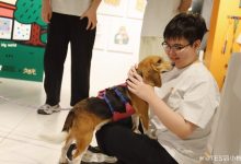 【乐玩LEWIN】TES晒基地宠物：让让都让让！ 比格大王驾到-乐玩真人线上娱乐