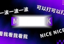 【乐玩LEWIN】LPL总决赛英雄麦克疯 shad0w：我不敢相信在这里捧个杯有多爽！-乐玩真人线上娱乐