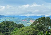 【乐玩LEWIN】主持人BaoBao晒旅游照:大自然和美食治愈一切-乐玩真人线上娱乐