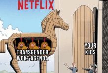 【乐玩LEWIN】抵制“有毒”思想!马斯克呼吁为了孩子抵制网飞:后者股价蒸发数十亿刀-乐玩真人线上娱乐