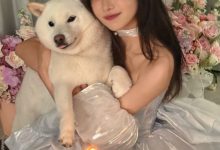 【乐玩LEWIN】主持骆歆生日返图:所有10月5日生日的朋友!今天没有流星也能许愿哦~-乐玩真人线上娱乐