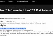【乐玩LEWIN】神秘中国特供显卡！AMD官方确认新显卡Radeon PRO W7900D-乐玩真人线上娱乐