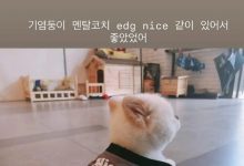 【乐玩LEWIN】Deft和PawN发文送别Nice：下次再见吧；小宝贝心理教练Nice-乐玩真人线上娱乐