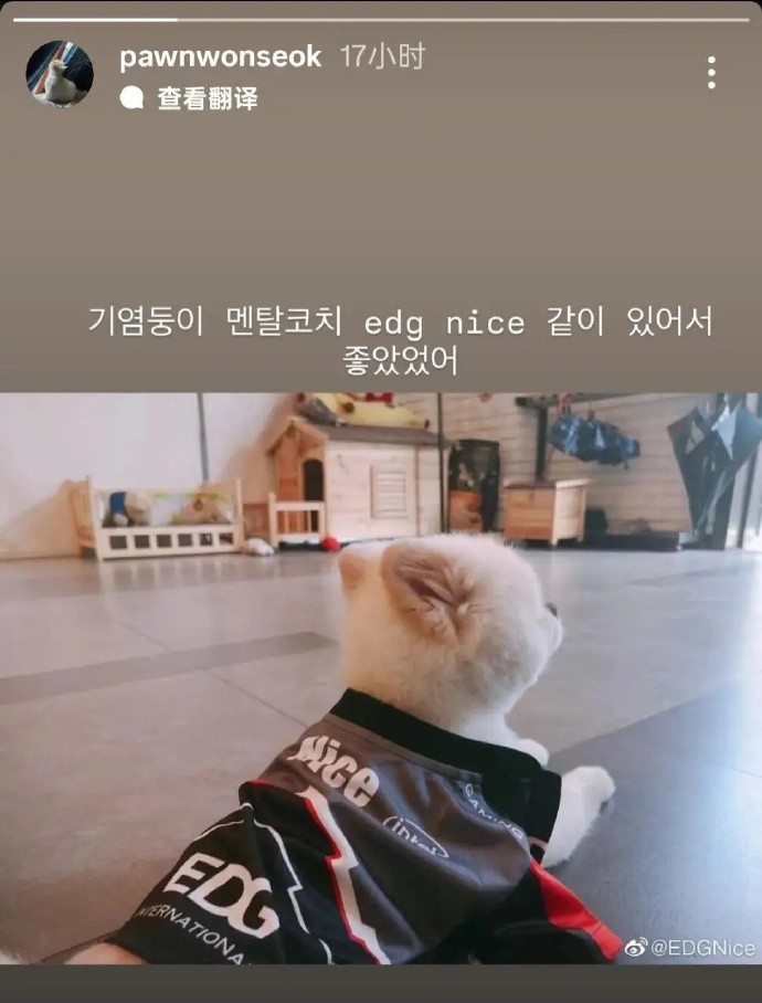 Deft和PawN发文送别Nice:下次再见吧;小宝贝心理教练Nice