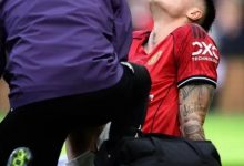 大发体育-谢什科官宣退出国家队，仍可能伤缺一个月，大发助力你的致富之路！-乐玩真人线上娱乐