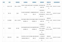 【乐玩LEWIN】11月国产+进口游戏版号下发!星际理想国(硅基宇宙)等游戏过审-乐玩真人线上娱乐