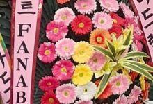 【乐玩LEWIN】Gumayusi姐姐结婚 Faker、经纪公司、HLE送上了祝福花圈-乐玩真人线上娱乐