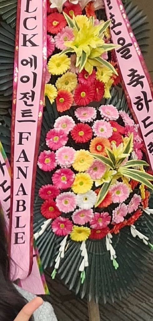 Gumayusi姐姐结婚 Faker、经纪公司、HLE送上了祝福花圈