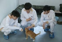 【乐玩LEWIN】AL分享队员公益活动返图：上野辅三兄弟铲屎记！-乐玩真人线上娱乐