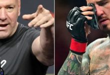 大发体育-达纳表示,他从未以“贬损的方式”谈论过汤姆,大发助力你的致富之路!-乐玩真人线上娱乐