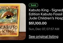 【乐玩LEWIN】原价7元的宝可梦卡牌竟卖到36万元!拍卖所得将全部捐给慈善机构-乐玩真人线上娱乐